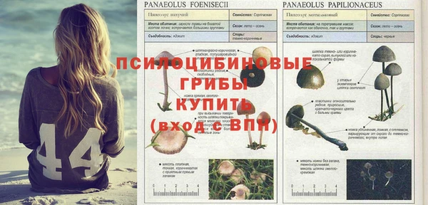 герыч Алексин