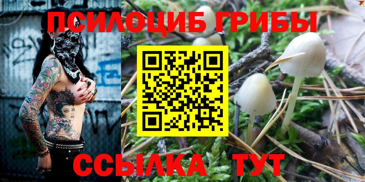 Галлюциногенные грибы Magic Shrooms Алексеевка