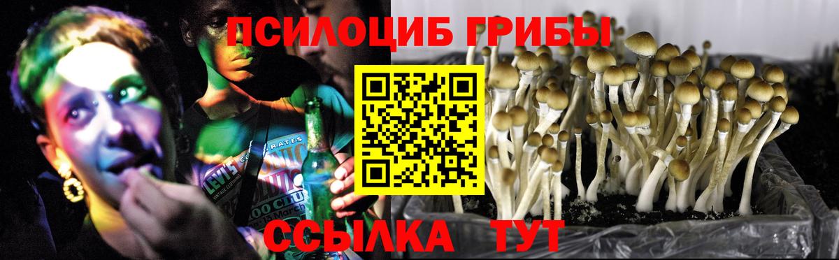 Псилоцибиновые грибы ЛСД  Вход с VPN  Алексеевка 