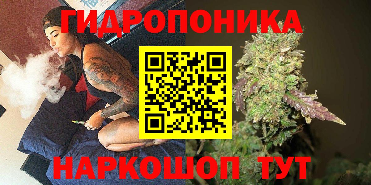 Каннабис гибрид Алексеевка